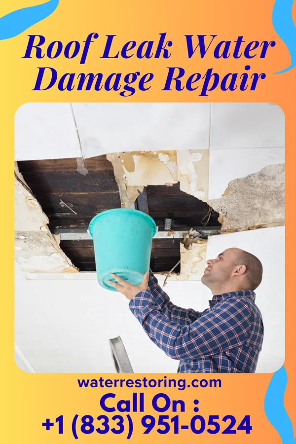 Roof Leak Water Damage Repair in Lakota, ND